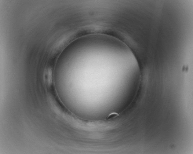 X0000114630022200910201430