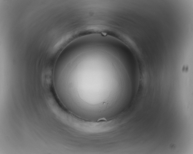 X0000114630023200910201430