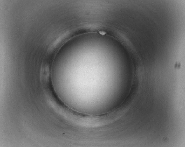 X0000114630024200910201430