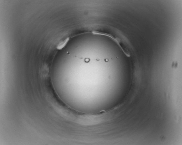 X0000114630025200910201430