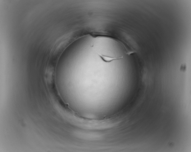 X0000114630026200910201430