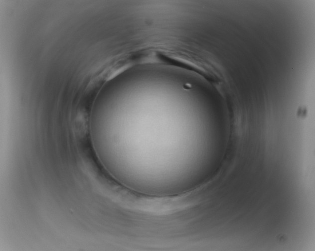 X0000114630029200910201430