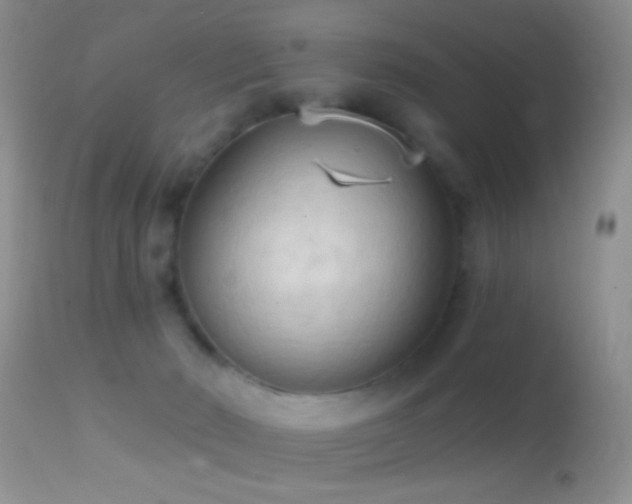 X0000114630030200910201430