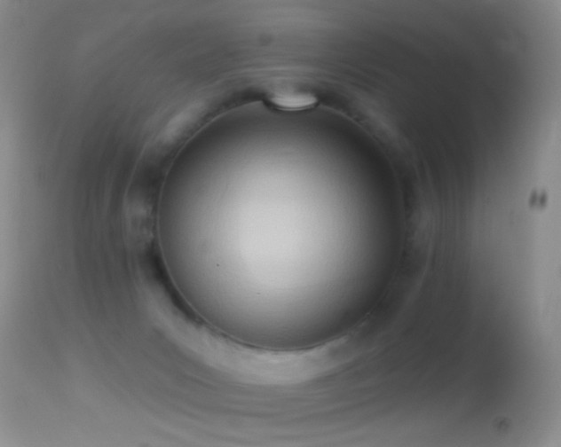 X0000114630031200910201430