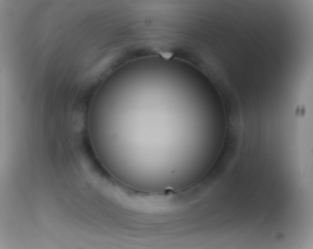 X0000114630032200910201430