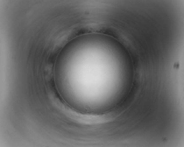 X0000114630034200910201430