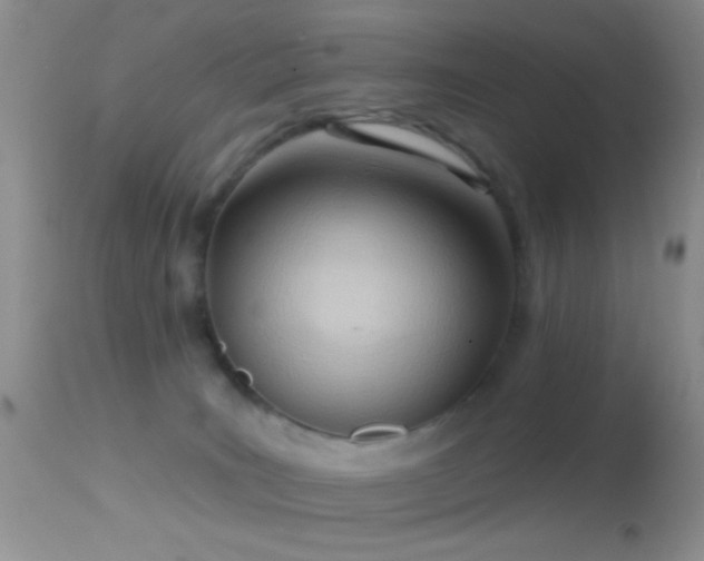 X0000114630035200910201430