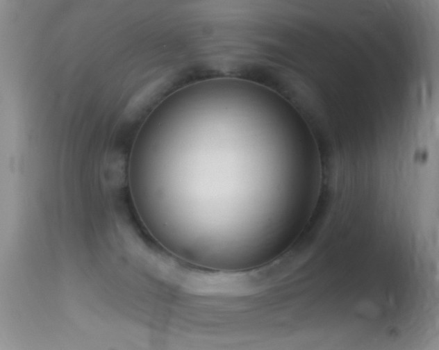 X0000114630036200910201430