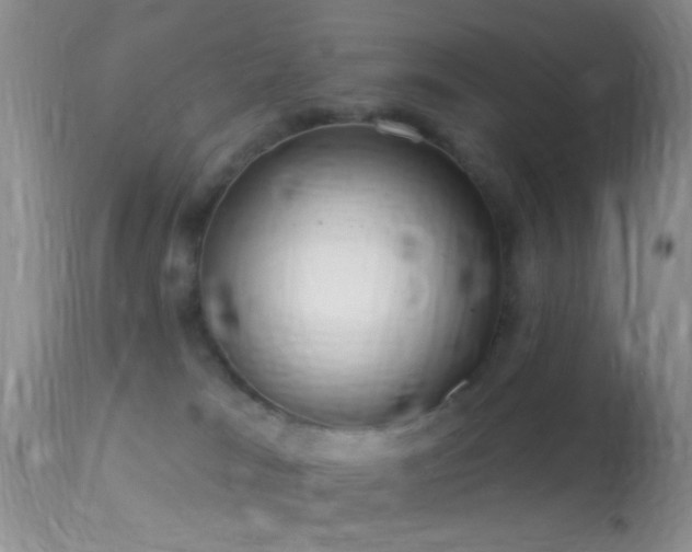 X0000114630037200910201430