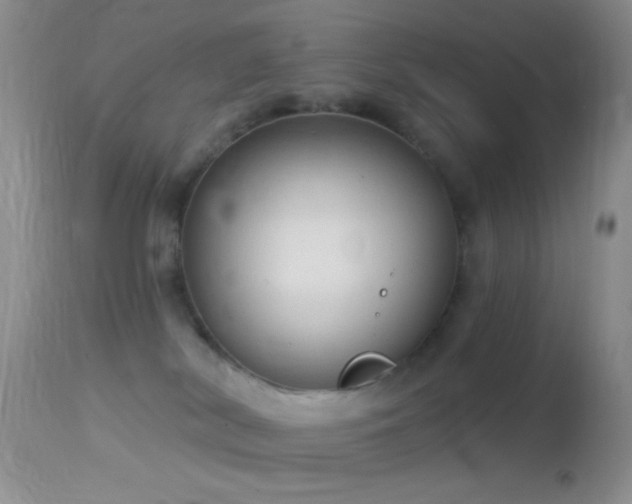 X0000114630038200910201430