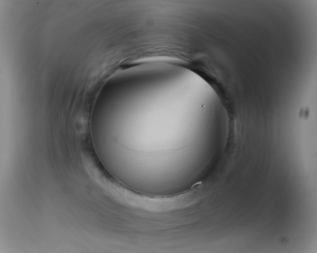 X0000114630039200910201430