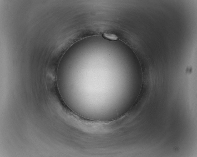 X0000114630040200910201430