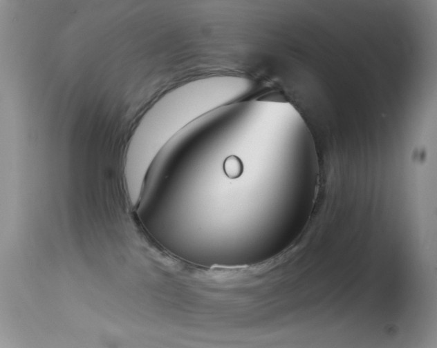 X0000114630041200910201430