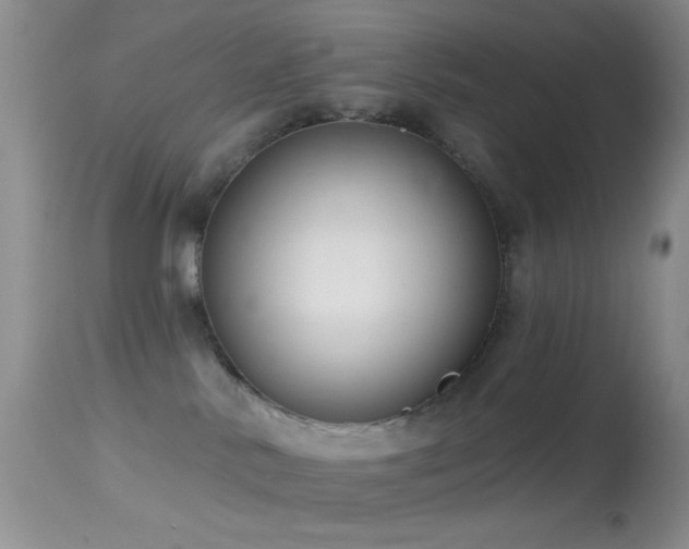 X0000114630042200910201430