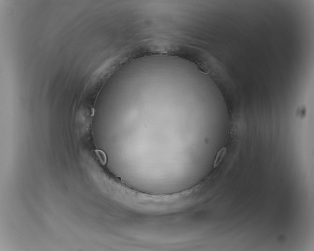 X0000114630043200910201430