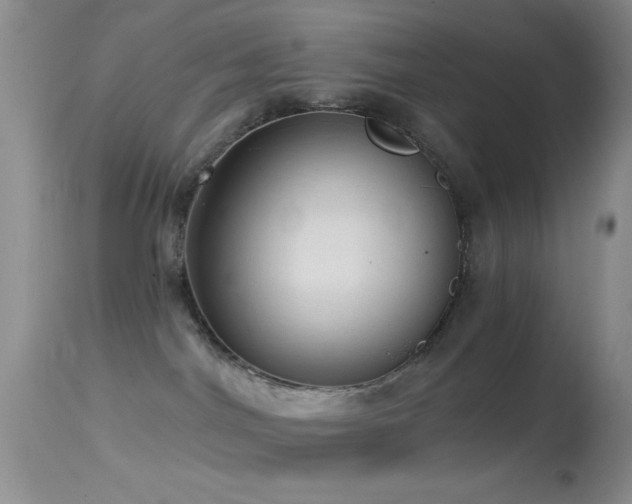 X0000114630044200910201430