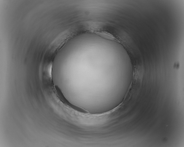 X0000114630047200910201430