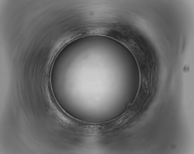 X0000114630049200910201429