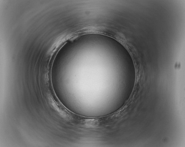 X0000114630050200910201429