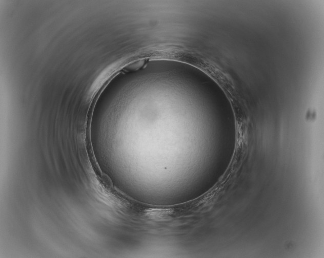 X0000114630051200910201429