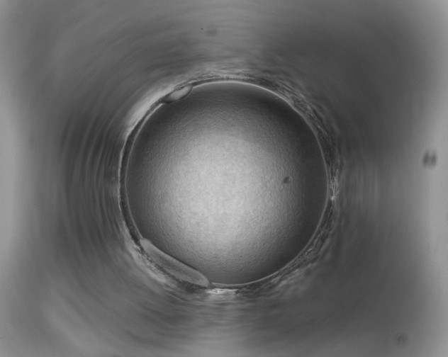 X0000114630052200910201429