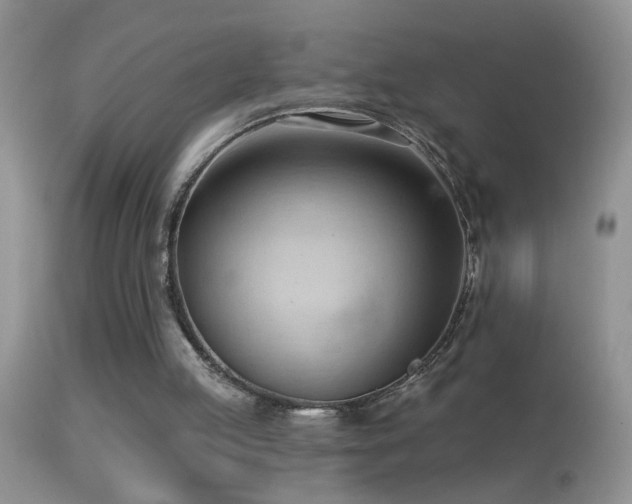 X0000114630053200910201429