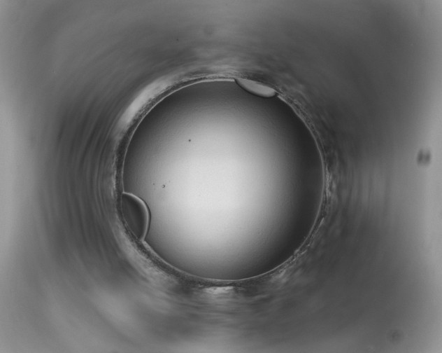 X0000114630054200910201429