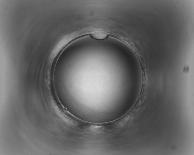 X0000114630055200910201429