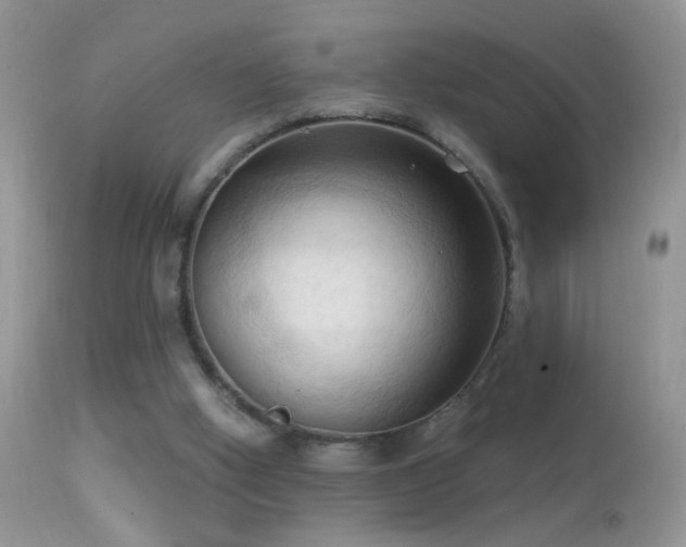 X0000114630058200910201429