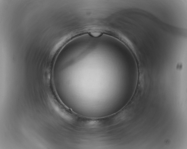 X0000114630059200910201429