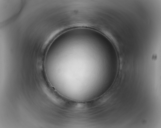 X0000114630060200910201429