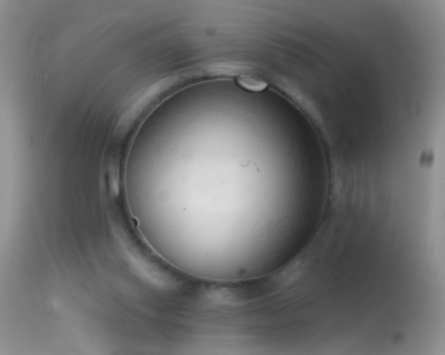 X0000114630062200910201429