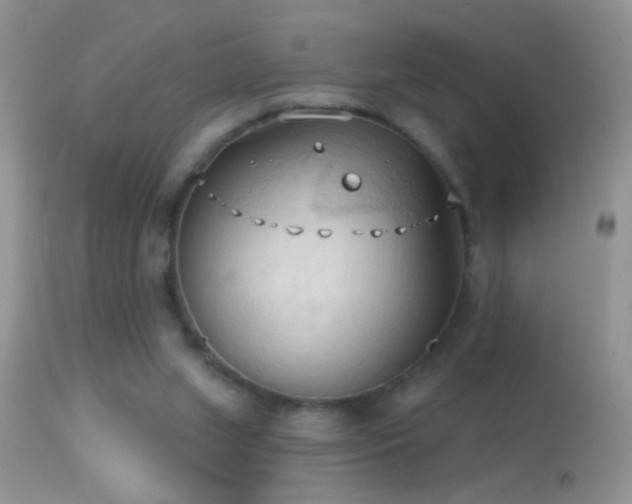 X0000114630063200910201429