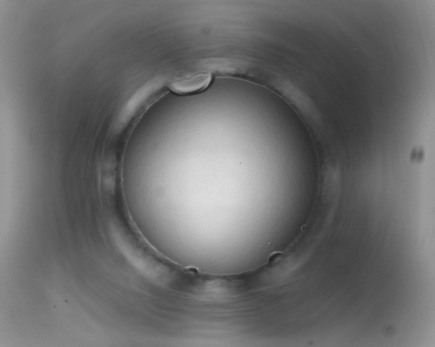 X0000114630064200910201429