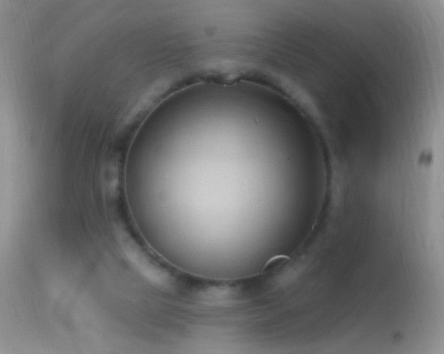 X0000114630065200910201429