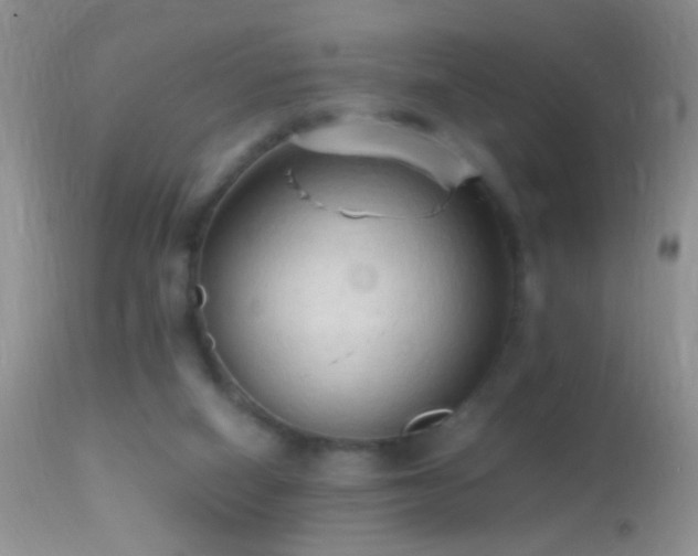 X0000114630066200910201429