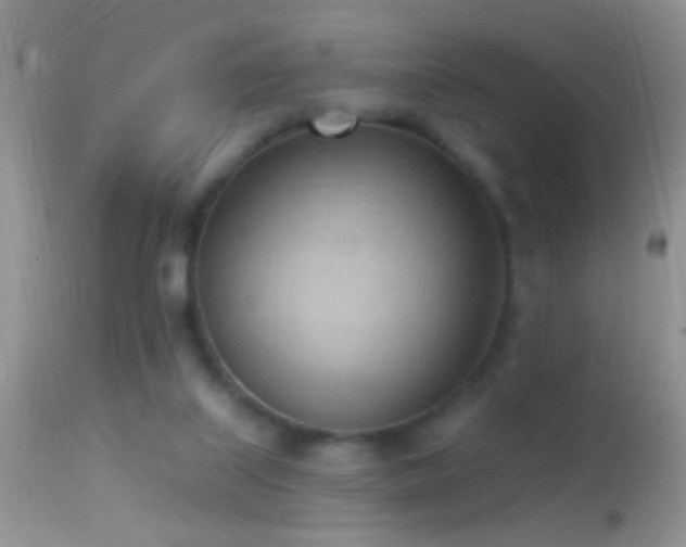 X0000114630067200910201429