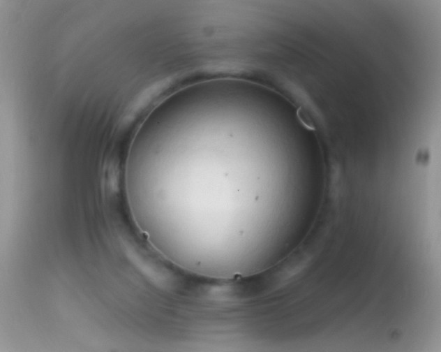 X0000114630068200910201429