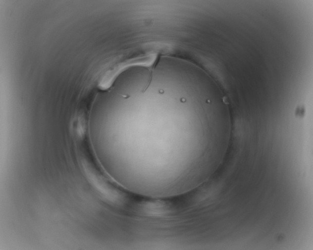 X0000114630069200910201429