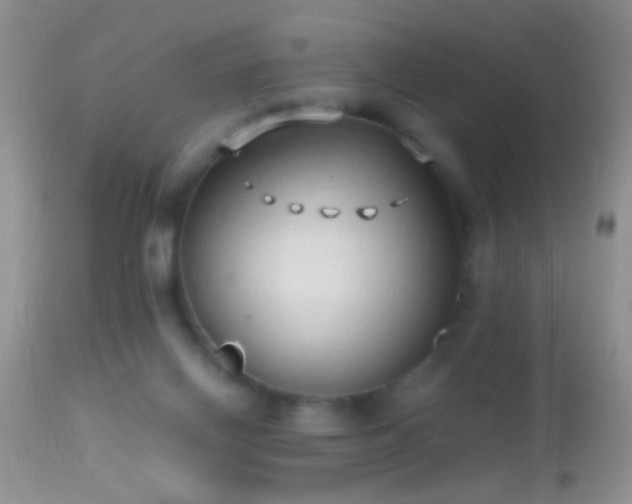 X0000114630070200910201429