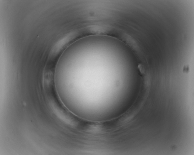 X0000114630071200910201429