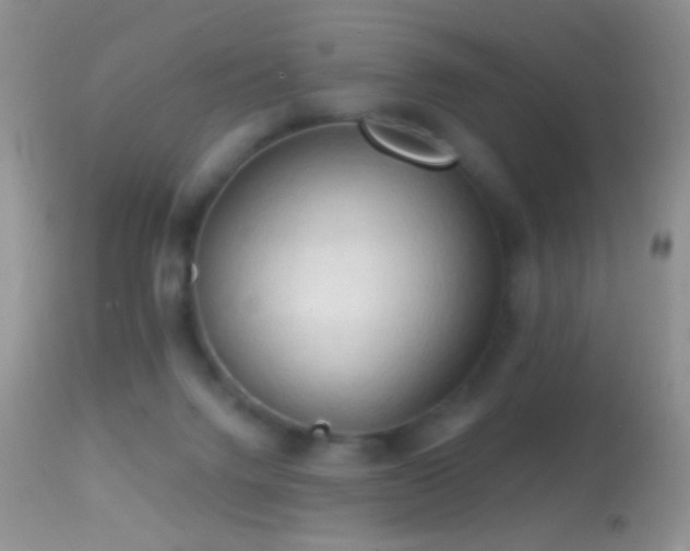 X0000114630072200910201429