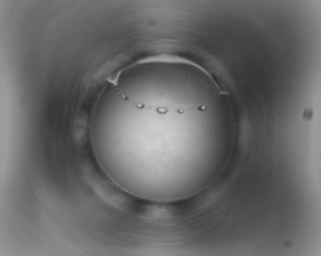 X0000114630073200910201429