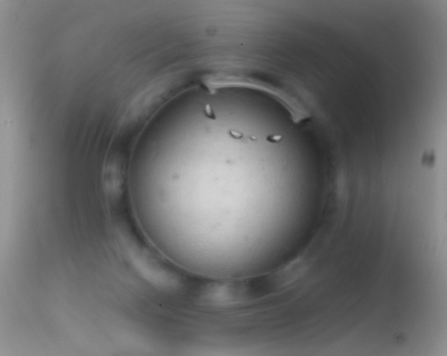 X0000114630074200910201429