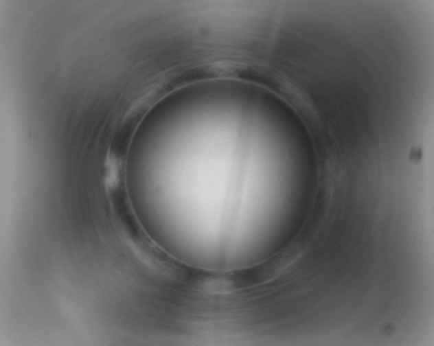 X0000114630075200910201429