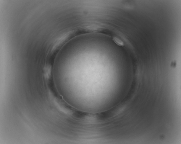 X0000114630076200910201429