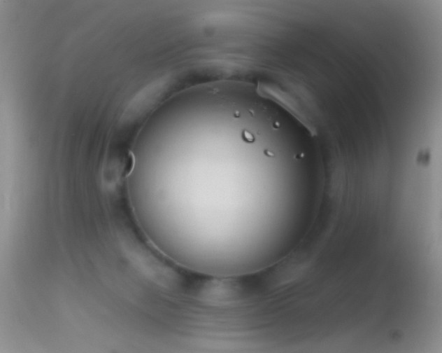 X0000114630077200910201429