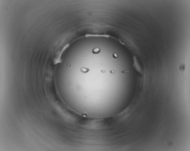 X0000114630078200910201429