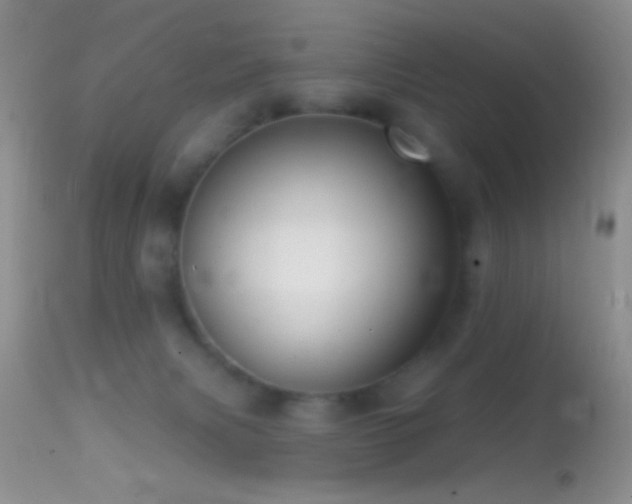 X0000114630079200910201429