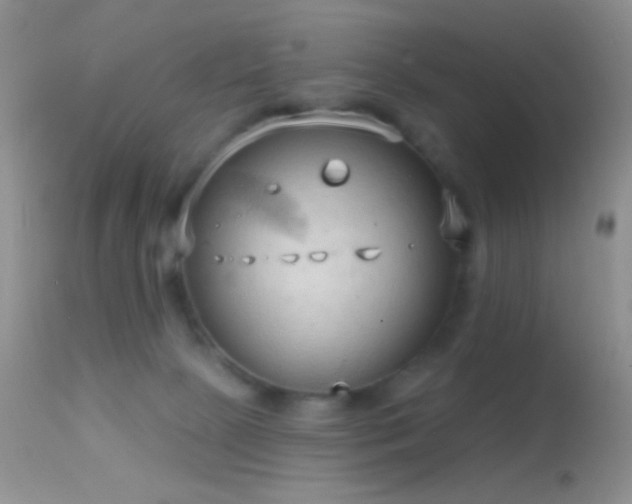 X0000114630081200910201429